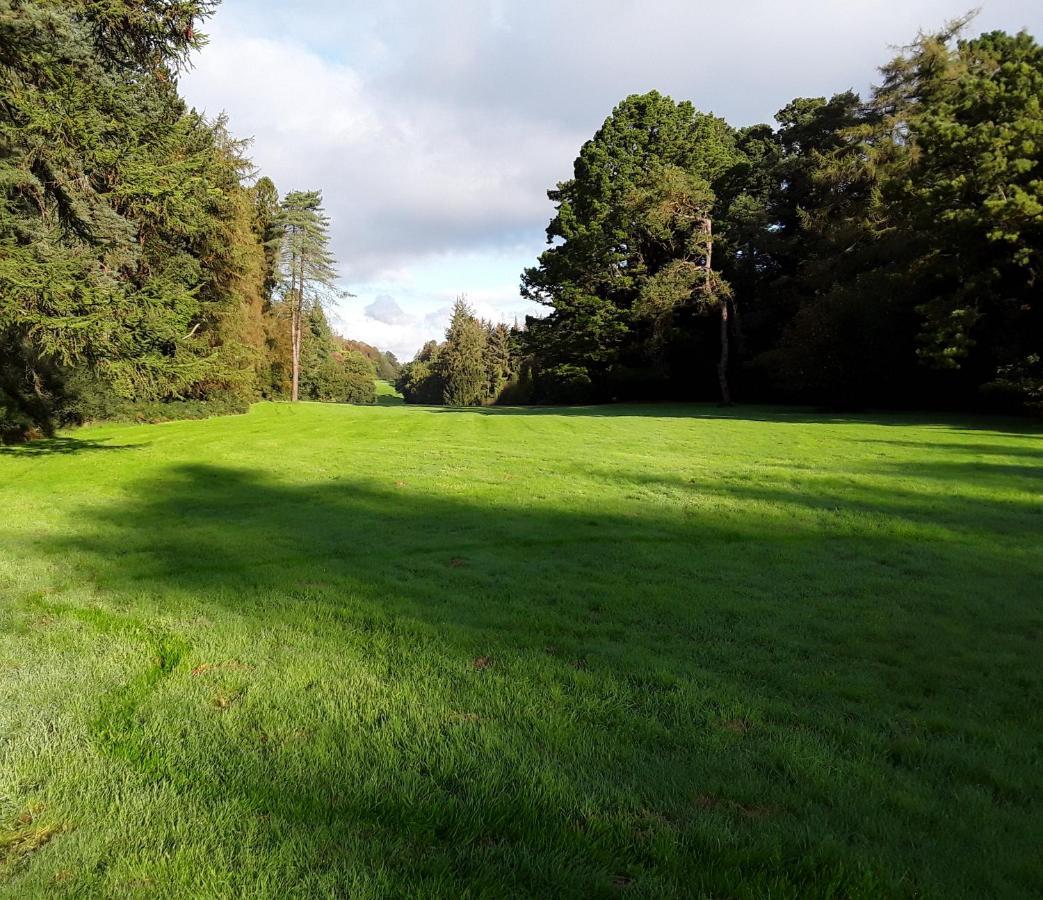 Meadowbrook Studio Rathdrum Εξωτερικό φωτογραφία